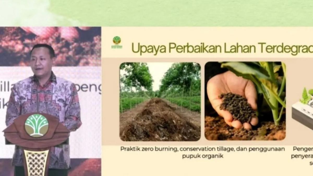 Kemenhut Serukan Rehabilitasi 12,3 Juta Hektare Lahan Kritis di Tengah Ancaman El Niño