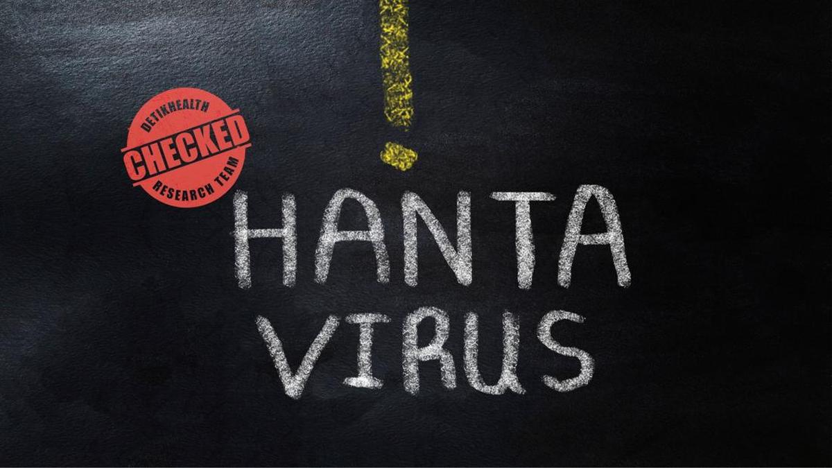 Memahami Andes Virus: Ancaman Baru di Tengah Isu Hantavirus
