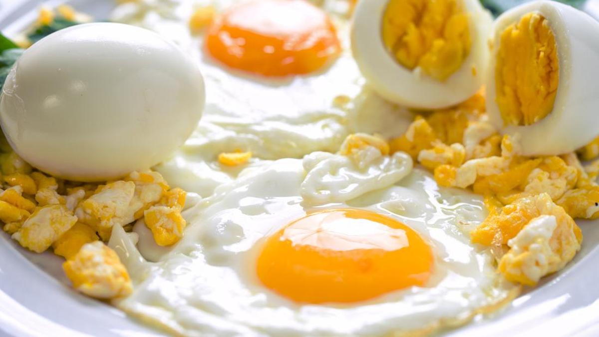 ---
Kontroversi Penghapusan Telur dari Menu Makan Siang di Sekolah India

---