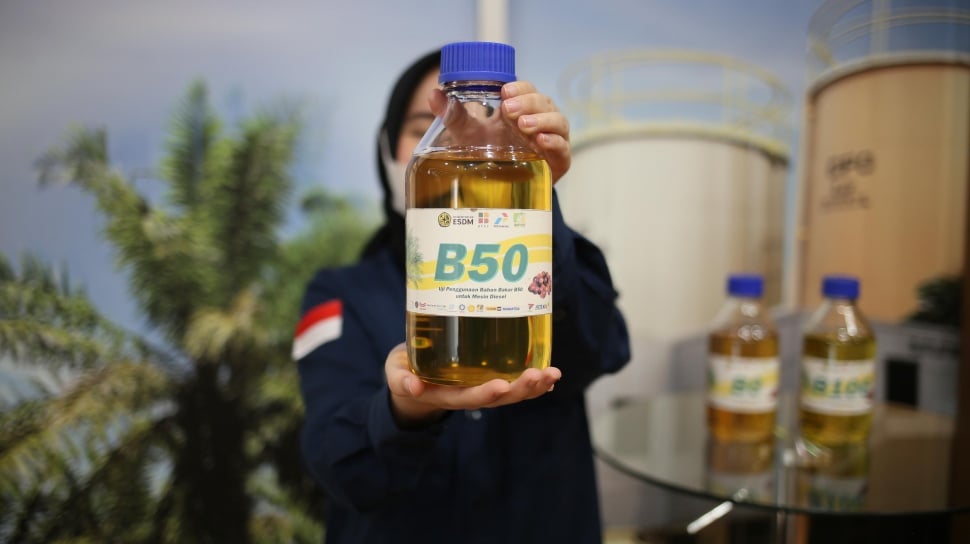 ---
Implementasi B50 Dimulai Juli 2026, GAPKI Ingatkan Stagnasi Produksi Sawit

---