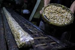 Bapanas Siap Cabut Izin Distribusi bagi Pihak yang Langgar Harga Kedelai