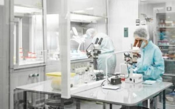 Risiko Penyebaran Hantavirus di Lingkungan Terbuka Dinilai Rendah