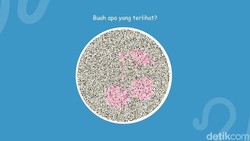 Bisa Lihat Buah Apa di Gambar Ini? Mayoritas yang Lulus Ujian SIM Pasti Bisa Jawab