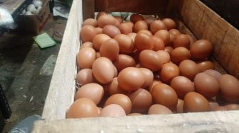 Kenaikan Harga Cabai dan Telur, Sementara Minyak Goreng Justru Menurun