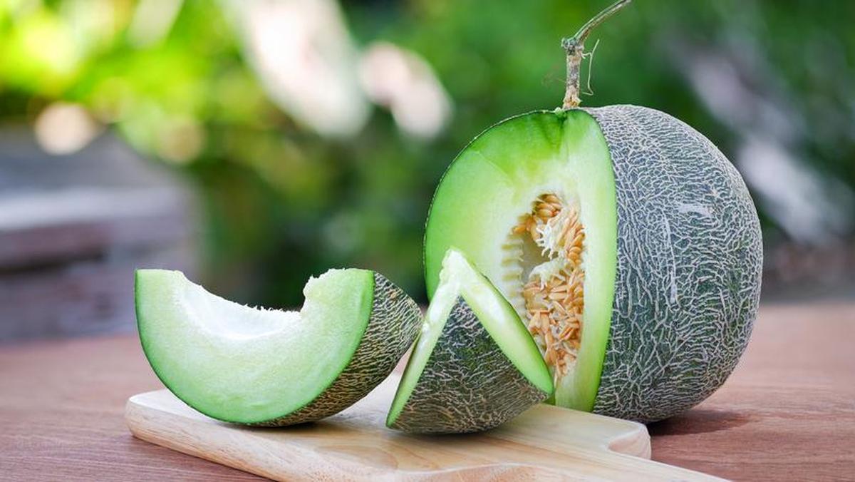 Tips Memilih Melon yang Manis dan Segar