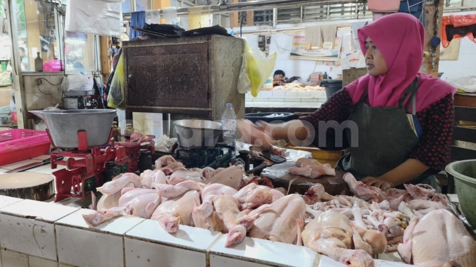---
Kenaikan Harga Ayam Ras di Jakarta Tembus Rp38.000 per Kilogram

---