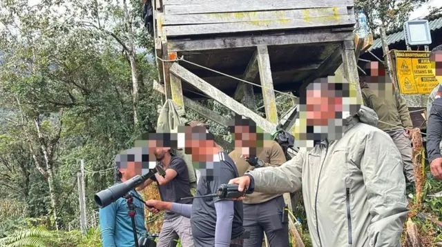 Penangkapan DPO Terkait Kasus Penembakan di Papua