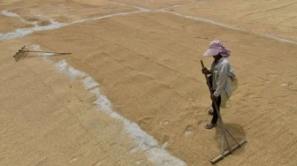 Tingginya Harga Gabah Menghambat Penjualan Beras Sesuai HET