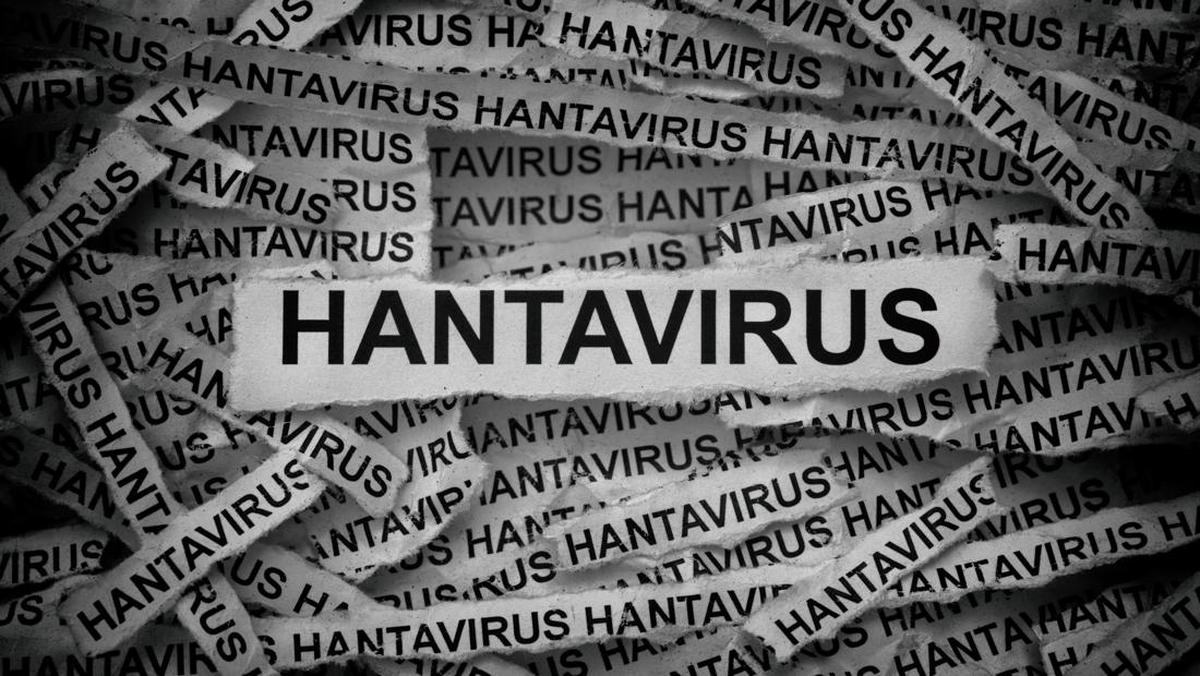 ---
IDAI: Fokus pada Difteri dan Campak, Jangan Khawatir Berlebihan soal Hantavirus

---