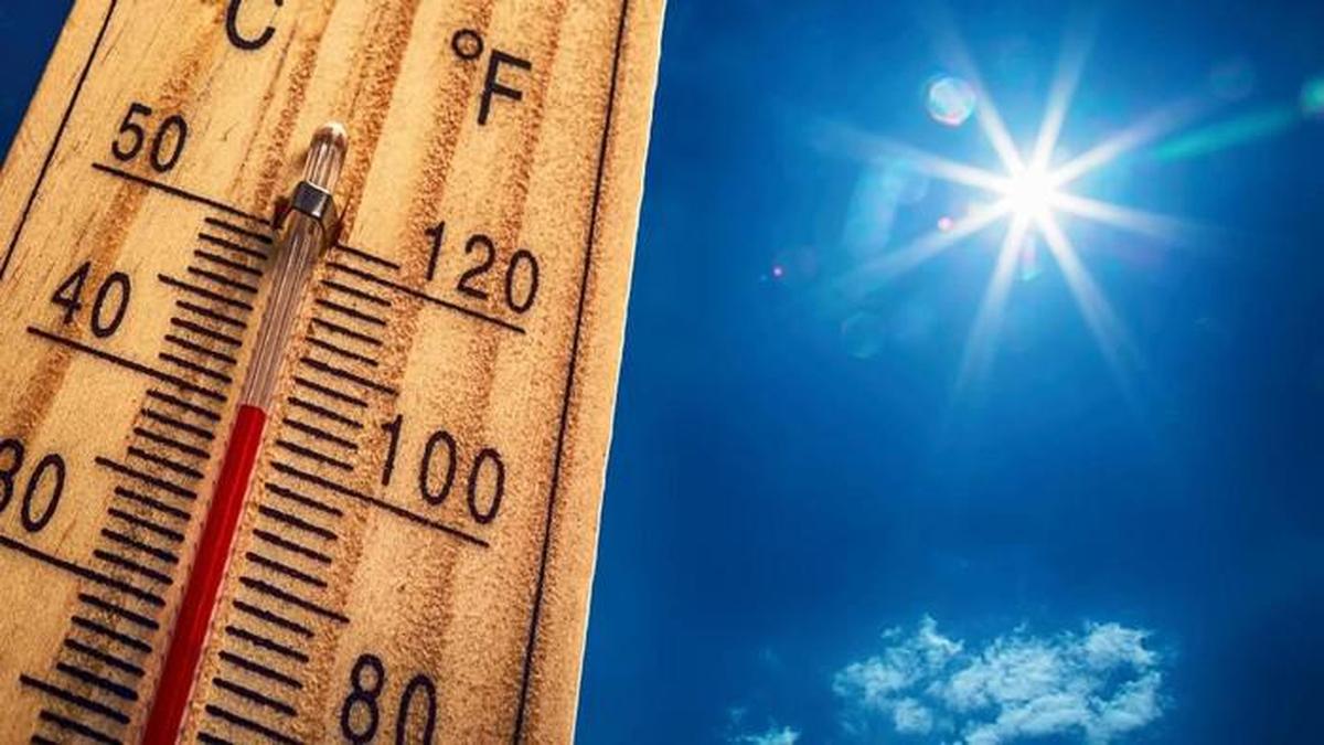 Peringatan Serius: Fenomena El Nino Diprediksi Makin Menguat