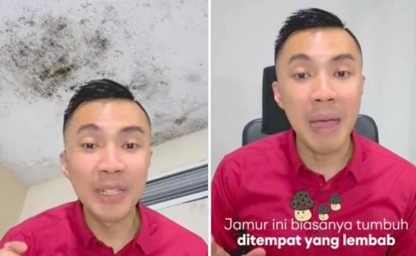 Waspadai Bercak Hitam di Rumah, Dokter Mengungkap Bahaya Jamur Black Mold
