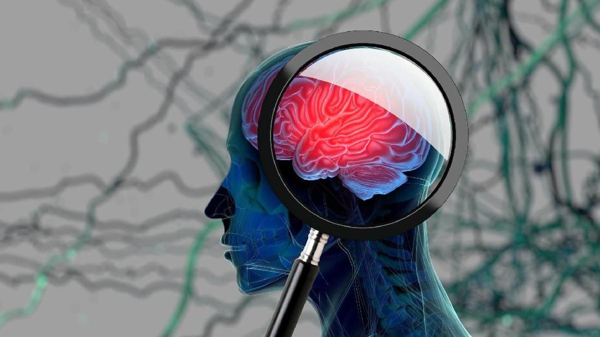 ---
Pola Makan Sehat untuk Cegah Demensia dan Jaga Berat Badan Ideal

---