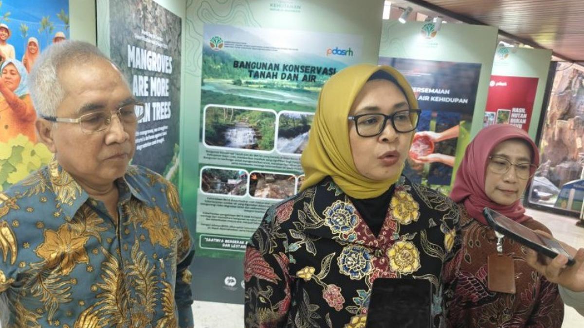 Kementerian Kehutanan Targetkan Pemulihan 12,3 Juta Hektare Lahan Hingga 2030