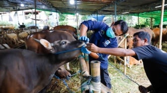 ---
Kementerian Pertanian Jamin Ketersediaan Daging Sapi Menjelang Idul Adha 2026
---