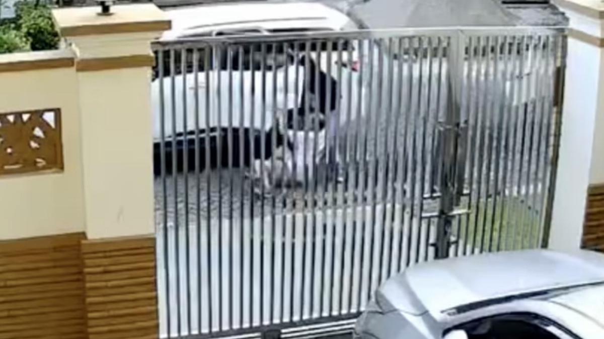---
Usaha Penculikan Lansia Saat Berolahraga di Jakarta Utara

---
