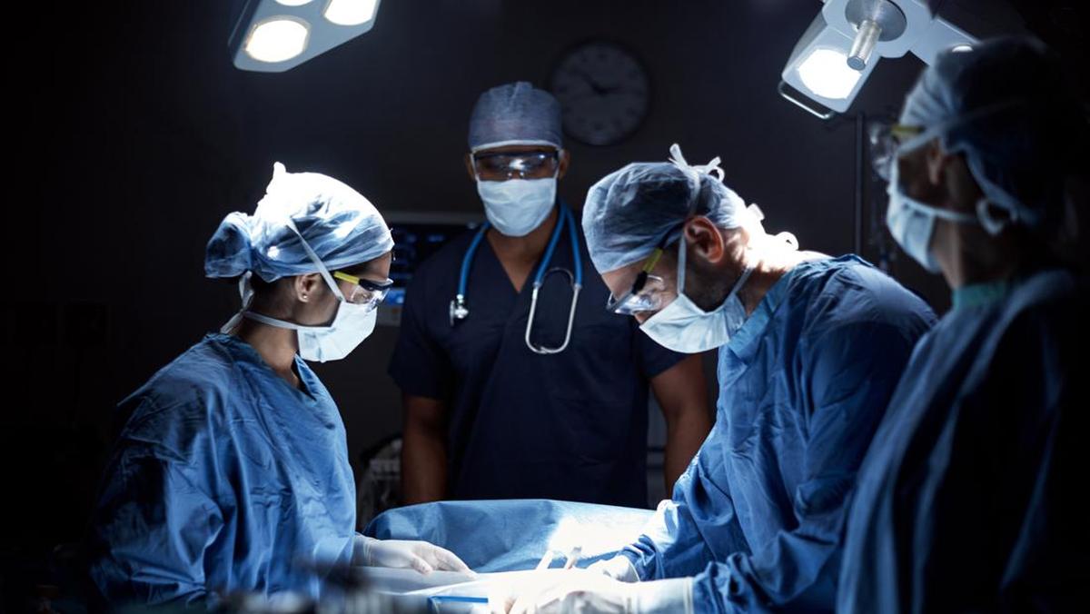 Organ yang Dapat Dihapus Tanpa Mengganggu Kehidupan Manusia
