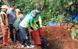 MUI Menyoroti Praktik Penguburan Hidup-Hidup Ikan Sapu-Sapu yang Bertentangan dengan Ajaran Islam