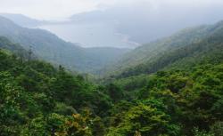 Peraturan Baru: Masyarakat Lokal Wajib Terlibat dalam Perdagangan Karbon Hutan
