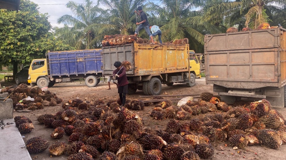 Peningkatan Produksi Sawit Indonesia Dukung Target B60 di 2028