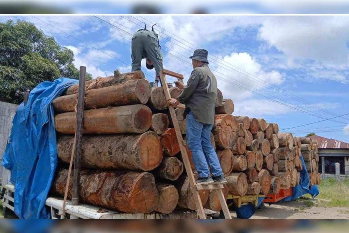 PDIP Desak Transparansi dalam Pengelolaan Lahan Tambang di Revisi UU Kehutanan