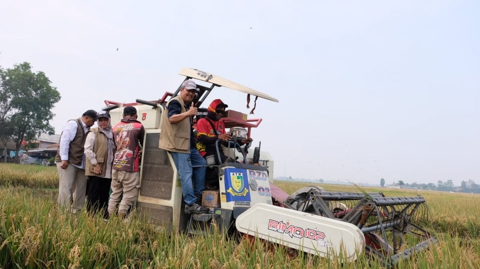 ---
Stok Beras Bulog Mencapai 5,25 Juta Ton, Tersebar di Seluruh Indonesia

---