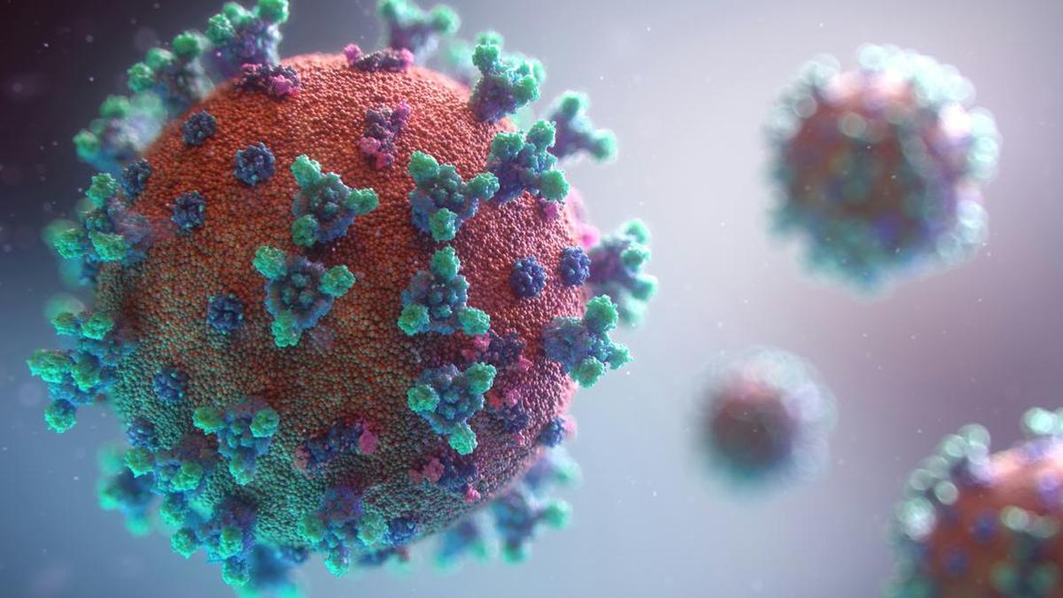 Lonjakan Kasus Suspek Ebola di Kongo: 543 Kasus dan 136 Kematian Tercatat