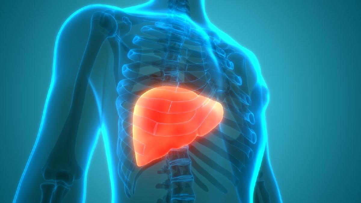 Peningkatan Kasus Fatty Liver di Usia 30-an, Gejala yang Sering Diabaikan