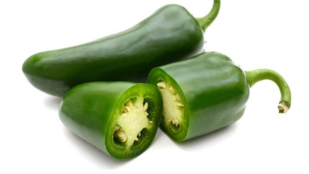 Wabah Salmonella Terjadi di AS, Ratusan Orang Terkena Dampak dari Cabai Jalapeno