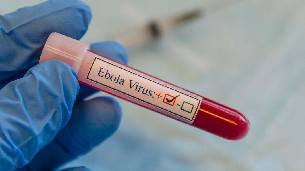 Wabah Ebola Muncul Kembali di Kongo, 65 Orang Tewas