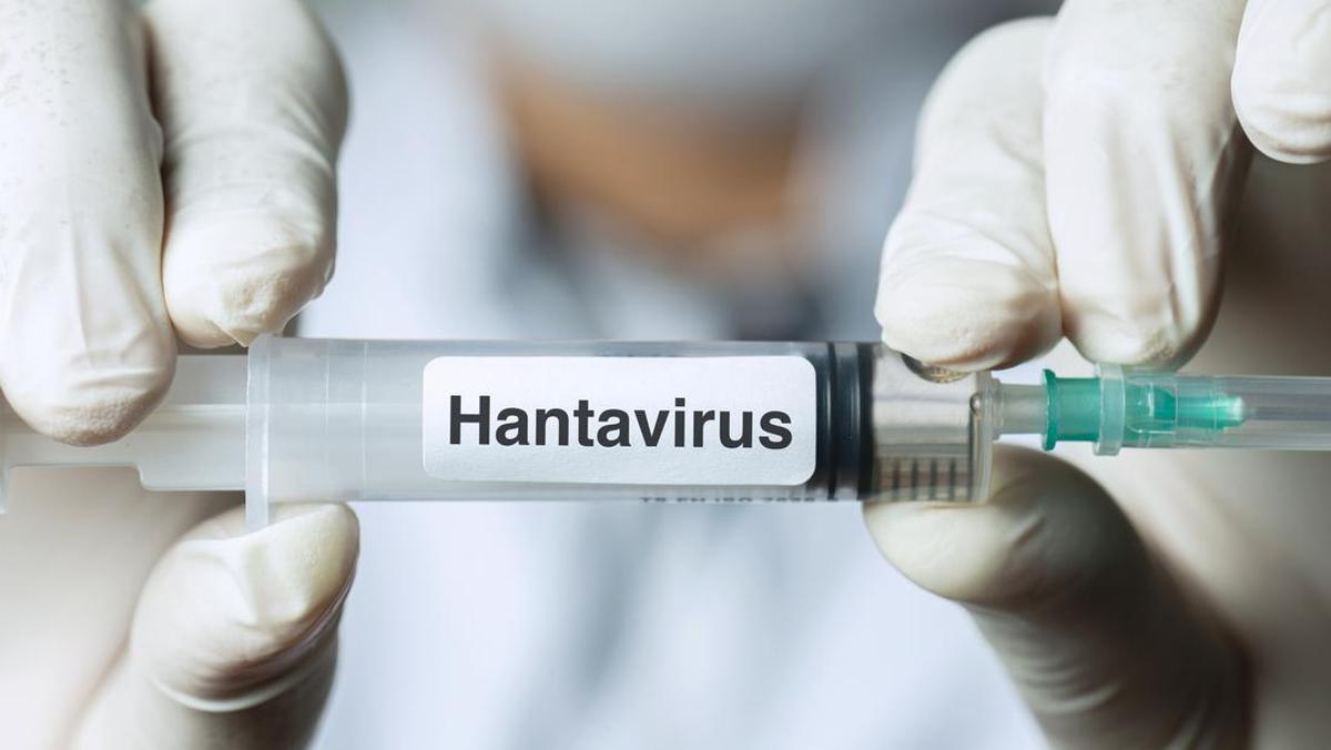 Kementerian Kesehatan Tingkatkan Pengawasan Hantavirus bagi Pelaku Perjalanan Internasional